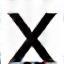 X (Twitter) social media icon.